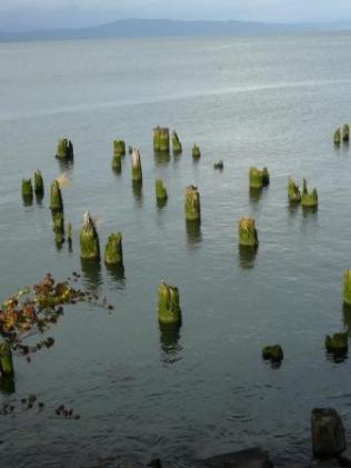 blog-pilings-in-astoria.jpg