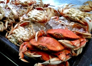 Crabs