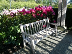 Garden Bench