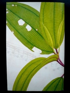 Back Cover Mapmaker's Opera