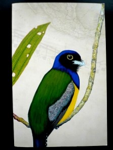 Front Cover Mapmaker's Opera Front Cover Mapmaker's Opera