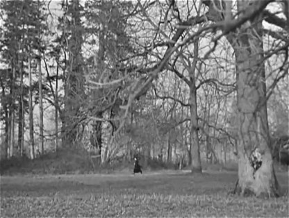 Walking through the woods