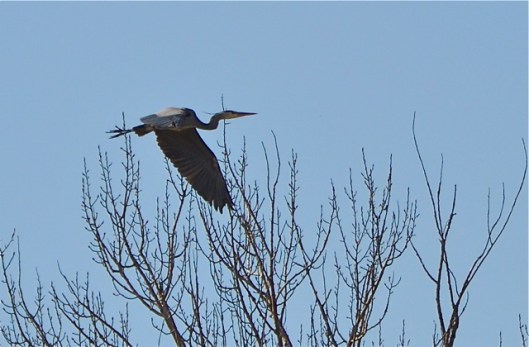 Just stretching the legs
