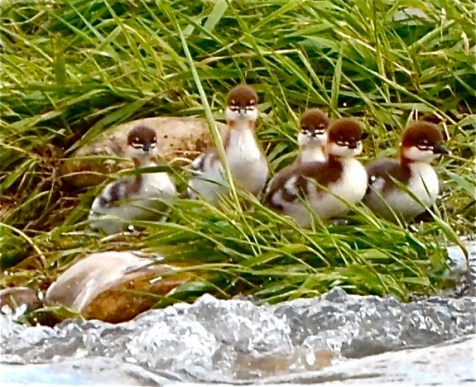 Ok guys, got your goggles on?