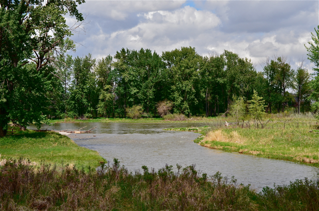 The Calm Face of The Bow