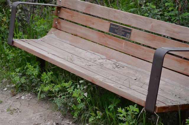 Bench