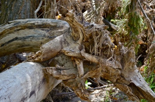 Broken, with character