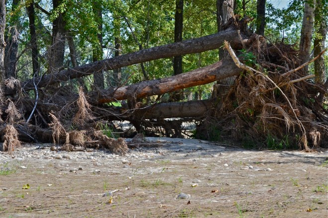 Down & flooded out 1