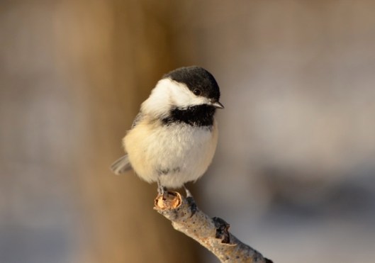 Would you like a tour?