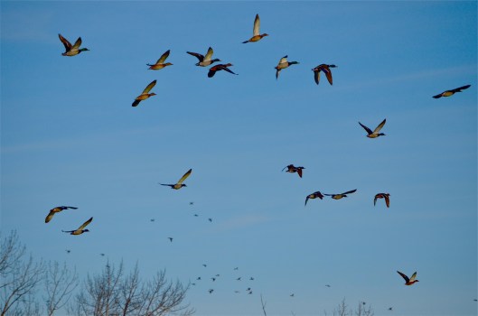 Traffic Jam in the Sky