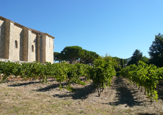 Vineyard by 12th Century Chapel in Vaison