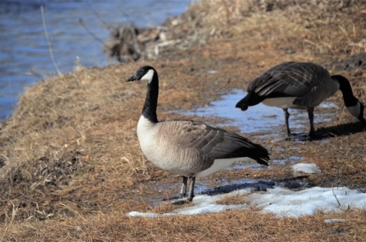 Up Close and Personal