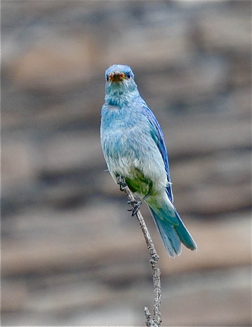 Here's looking at you, kid.