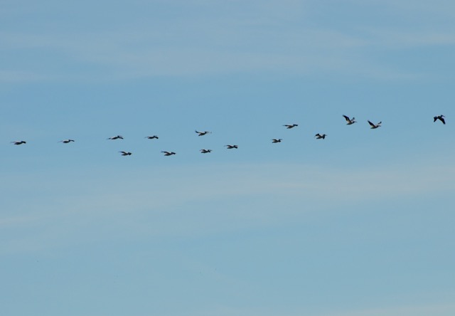 The eye of the storm