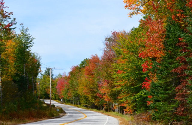 Country road in Maine