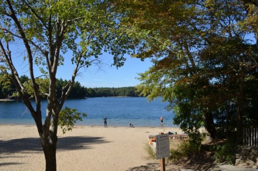 Swimmers at the beach