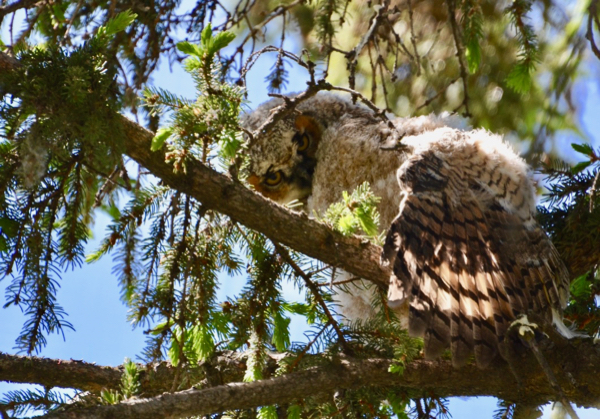 Looking at you kid.jpg