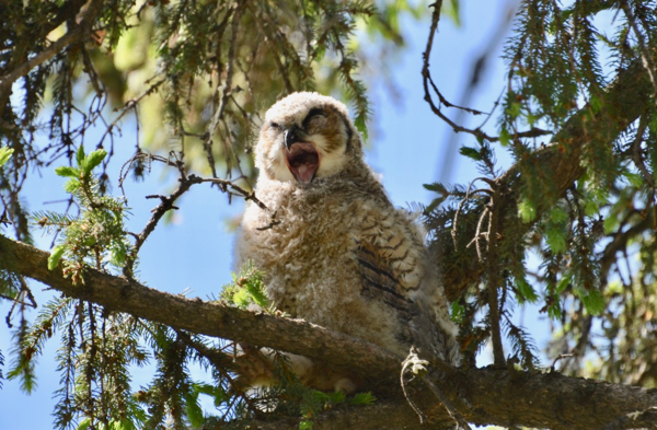 No teeth to brush.jpg